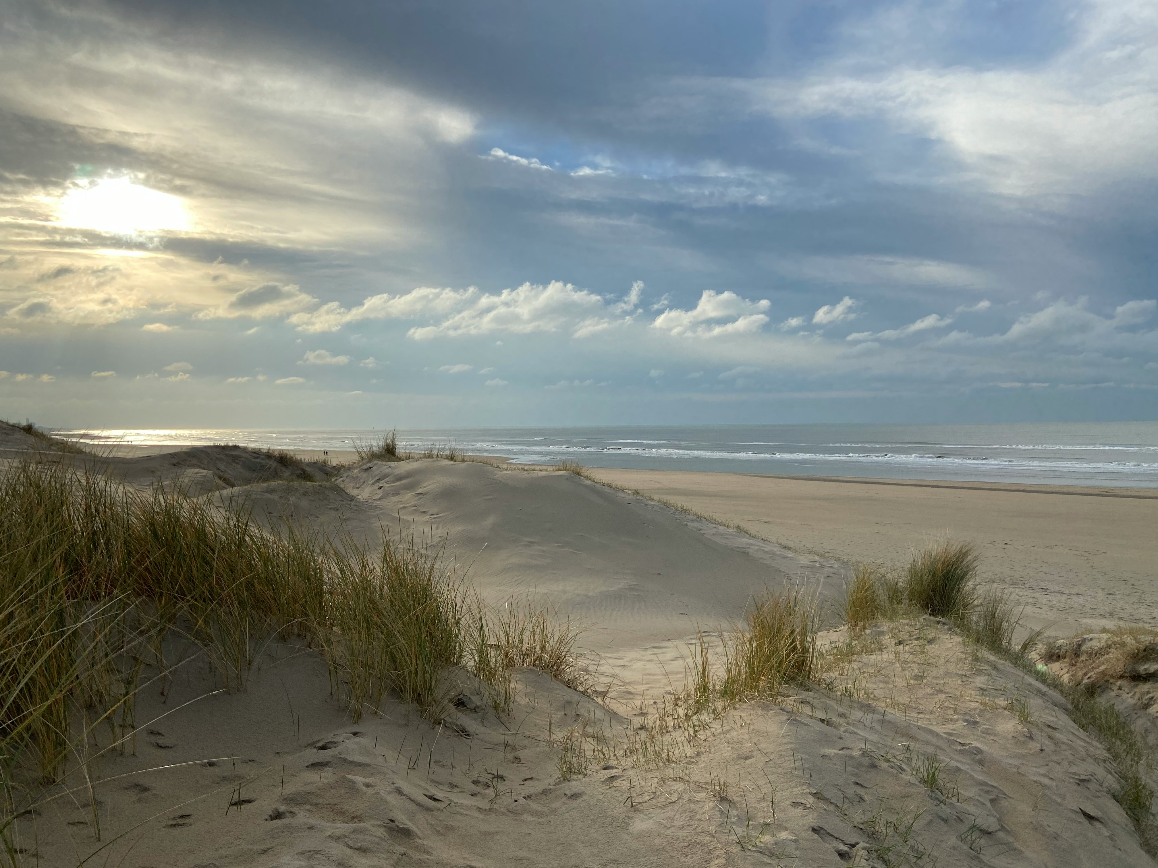 about.beachAerial